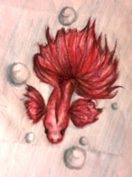 Red BETA