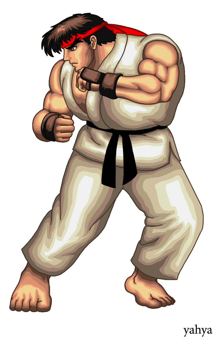 Street Fighter 2 Victory Ryu Training Hadouken by KatapimbaBoss on  DeviantArt