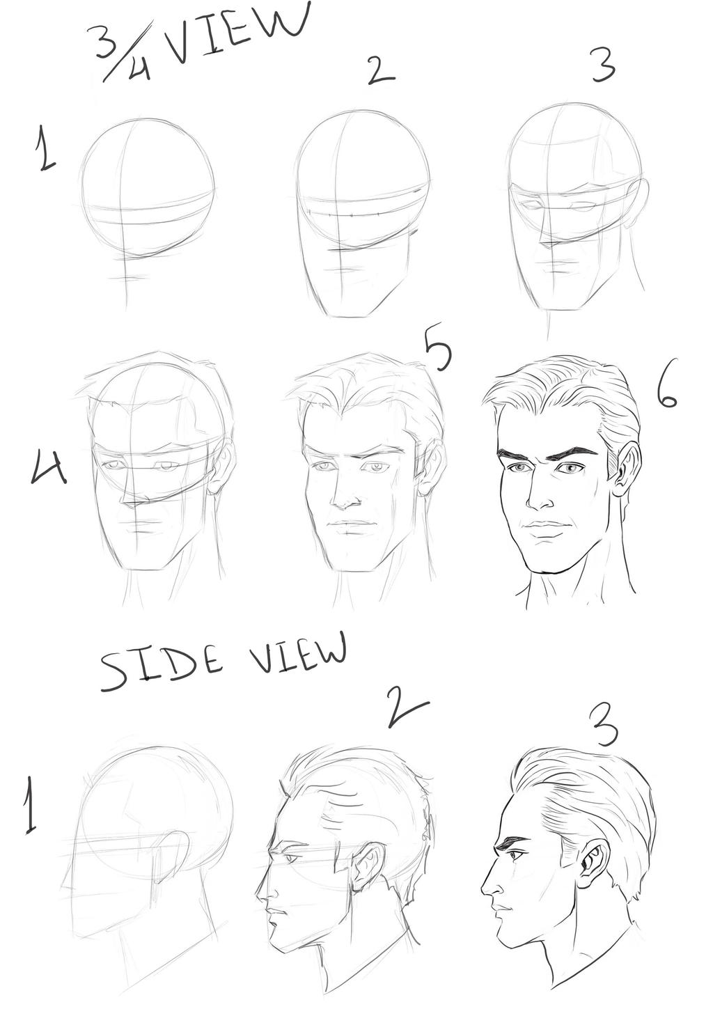 Head Tutorial by MasterSS on DeviantArt