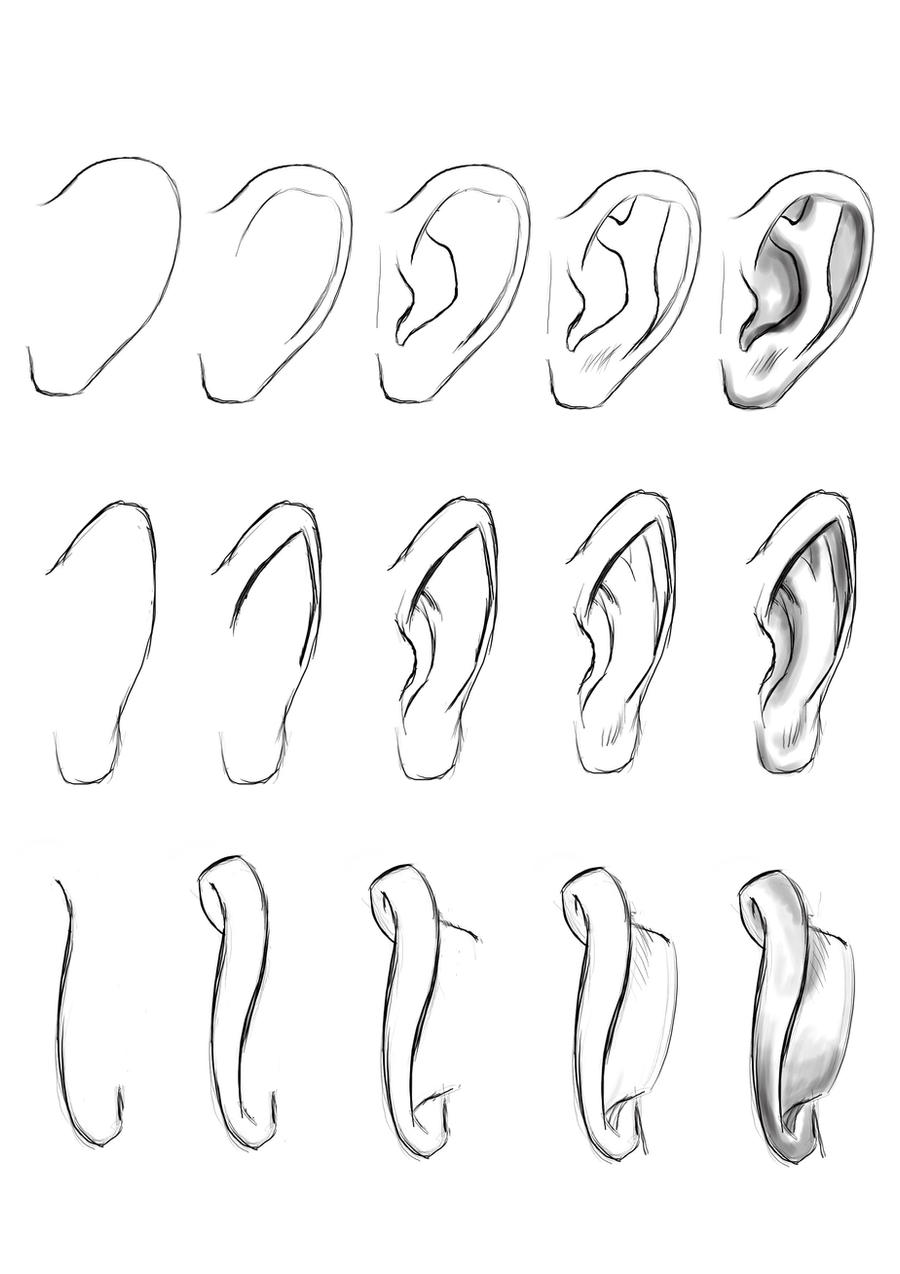 Ear Tutorial by MasterSS on DeviantArt