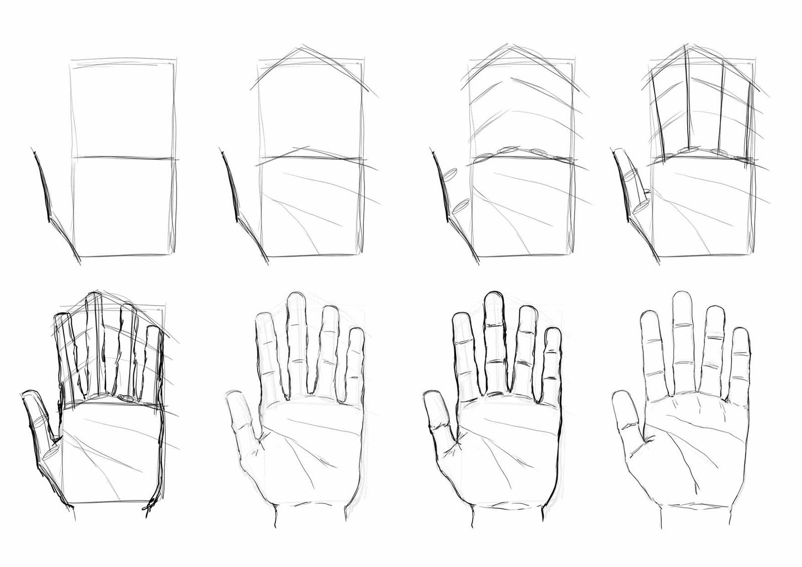Deconstructing Hands Tutorial Another hand Tutorial by MasterSS on DeviantArt
