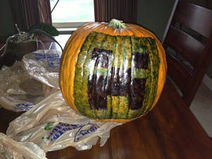 bro's pumpkin!