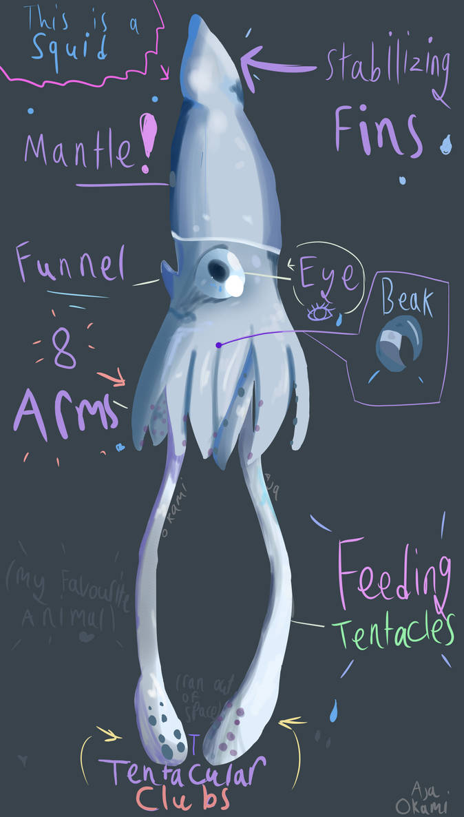 Giant Squid ~ by GaleSnaill on DeviantArt