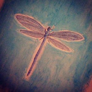 Blue dragonfly