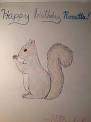 Squirrel for Romitta