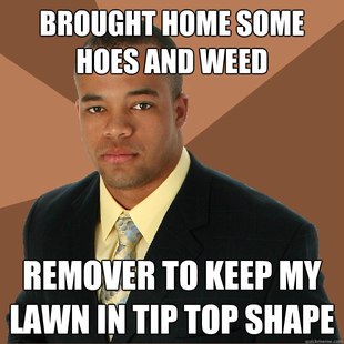 Successful Black Man Meme Weed and Hoes