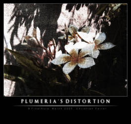 Plumeria Distortion