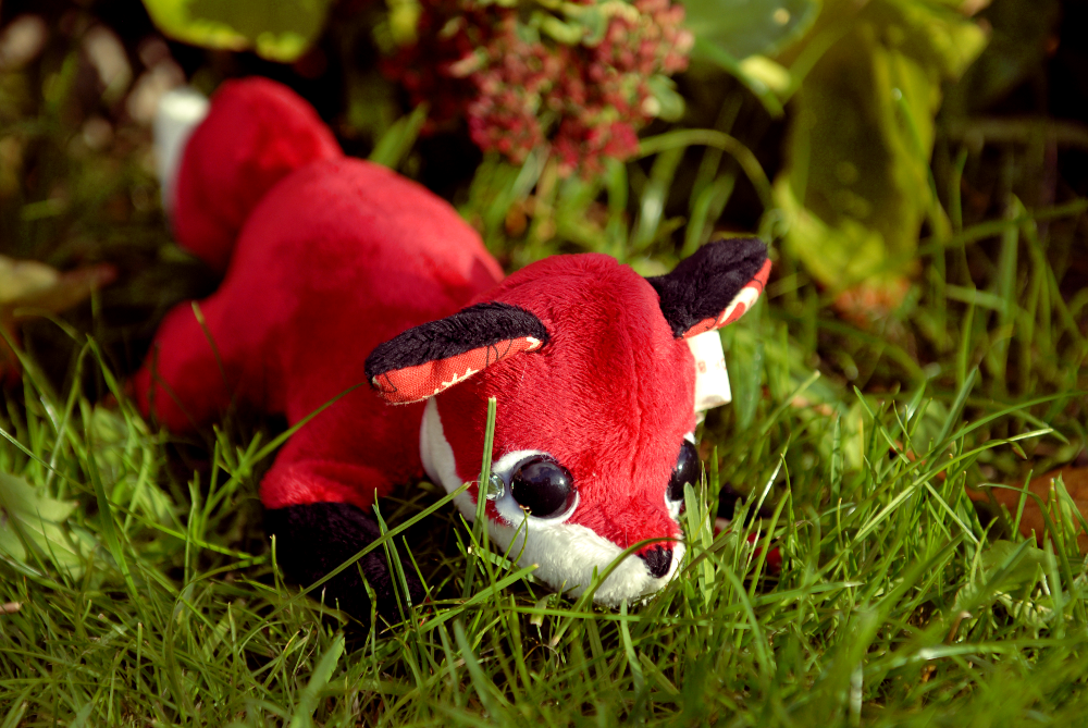 Paisley Fox Tea Party Plushie - Customs Available.