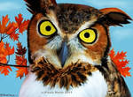 Great Horned Owl In The Autumn by youlittlemonkey