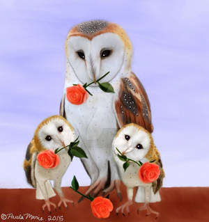 Barn Owl Family With Roses