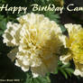 Happy Birthday Camelia