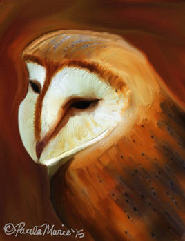 Barn owl In Arcrylics