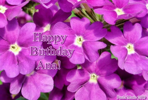 Happy Birthday Ana 2020