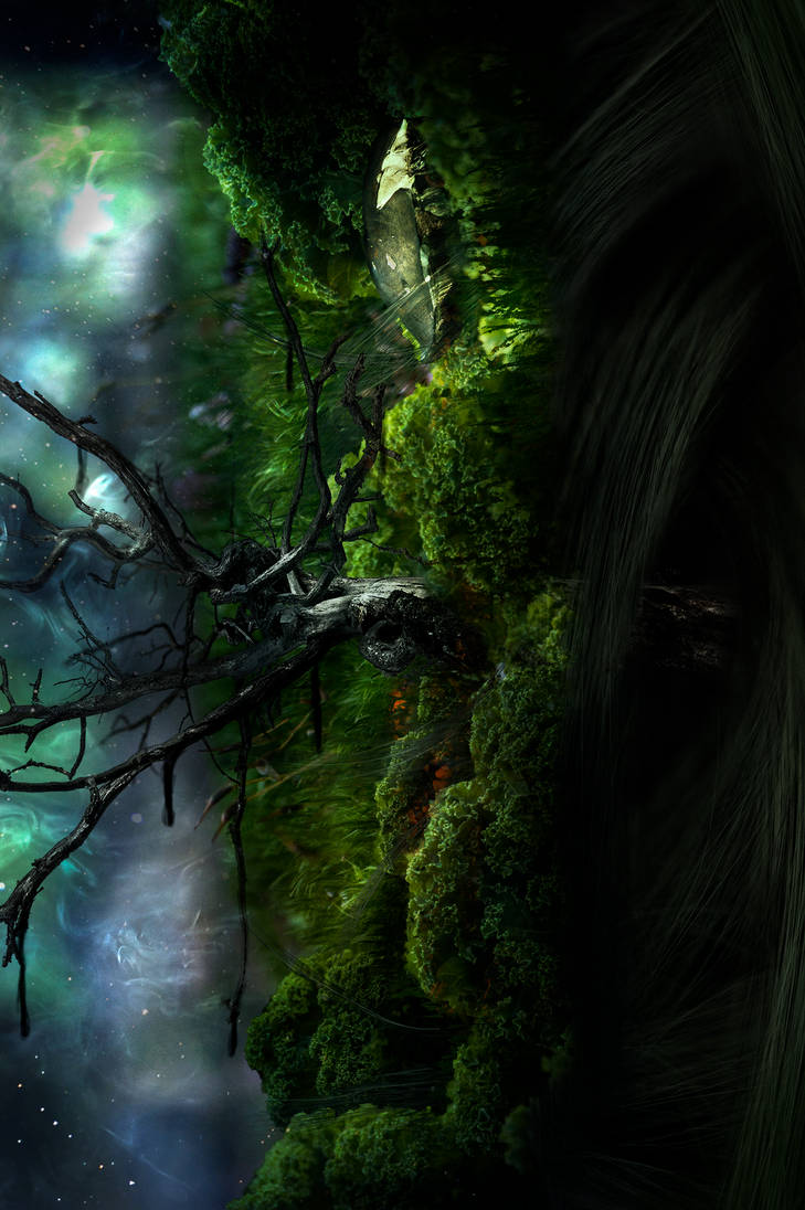 Rotting tree by Narovana on DeviantArt