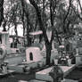 Full Cemetery