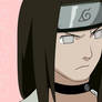 .neji.