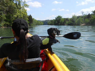 Kayaking Town Lake