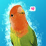 Lovebird