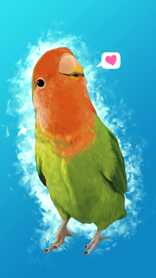 Lovebird