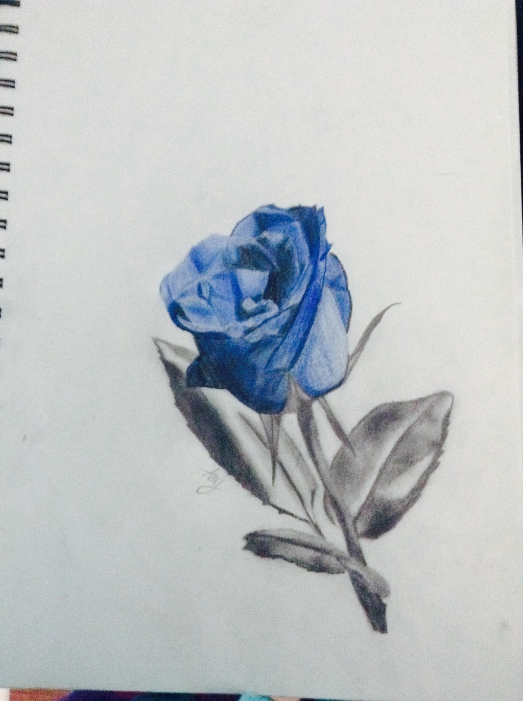 Blue Flower