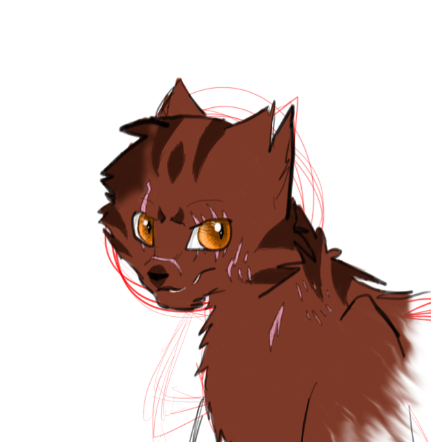 Tigerclaw Headshot