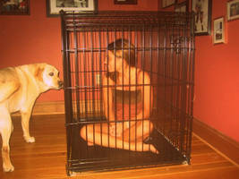Caged Like An Animal