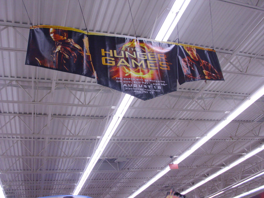 Hungger Banner Hunger Games Banner by Poppehtart on DeviantArt