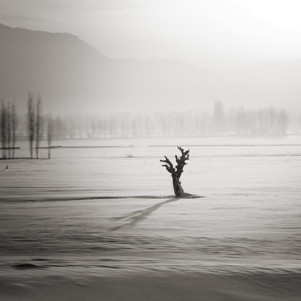 Stand up to winter by etchepare