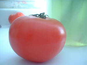 tomato, tomato