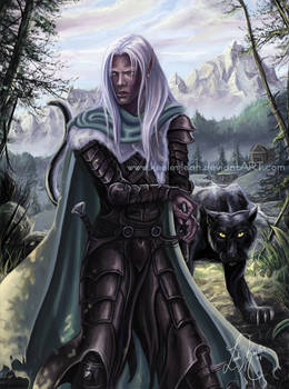 .: Drizzt Drow Ranger :.