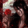 Blood Roses II