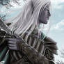 Drizzt flees the Hunter