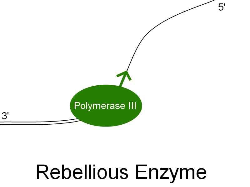 AP Humour - Rebellious Enzyme