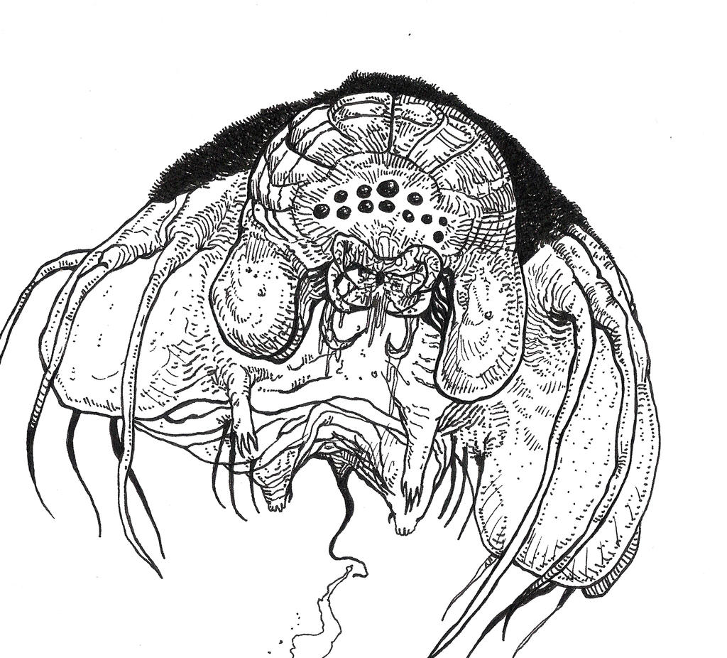 Furback Vampire Spider-Facehugger