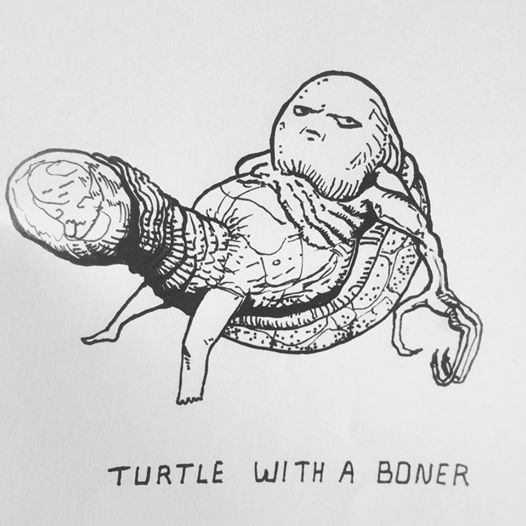 Turtle with a Boner