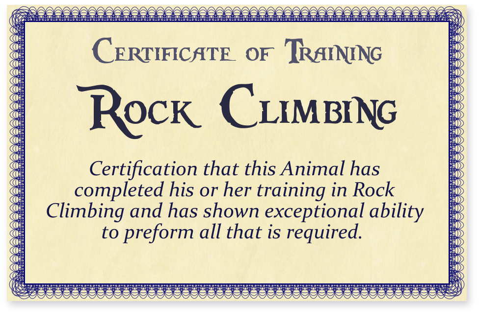 Certificate Of Rock Climbing Training By Duinkeeper On
