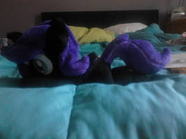 I HAZ A NYX PLUSH!!!!