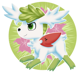 492 Sky Shaymin