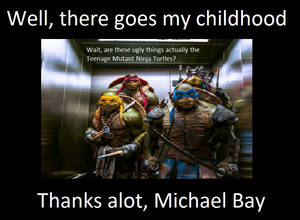 Thanks alot, Michael Bay