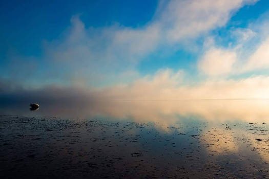 Deception Bay Fog 1