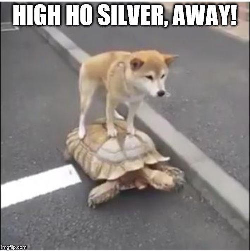 Doge the lone ranger meme by wjones215 on DeviantArt