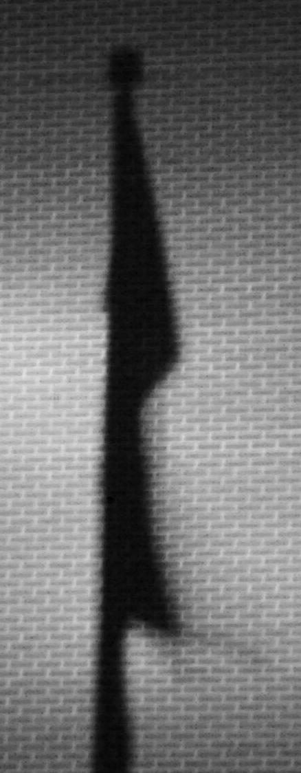 Shadowy Flag Shadow Flags by Krysilphoenix on DeviantArt