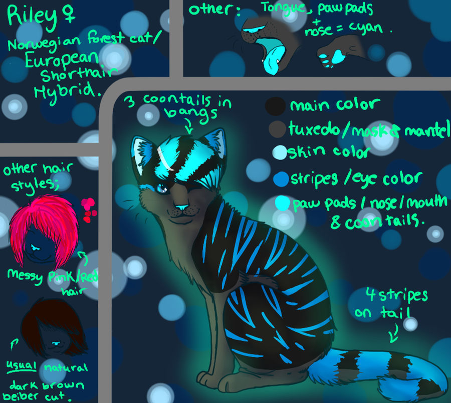 riley reference.----+ by Rileyluvscookies on DeviantArt