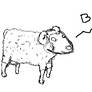 Sheep doodle