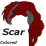 Picture for scar2