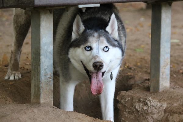 Oops... you mean I'm not supposed to dig?