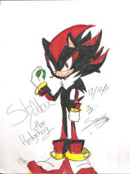 shadow the hedgehog