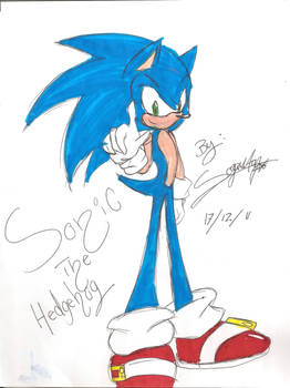 sonic the hedgehog