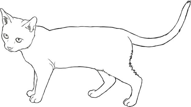 Cat Lineart