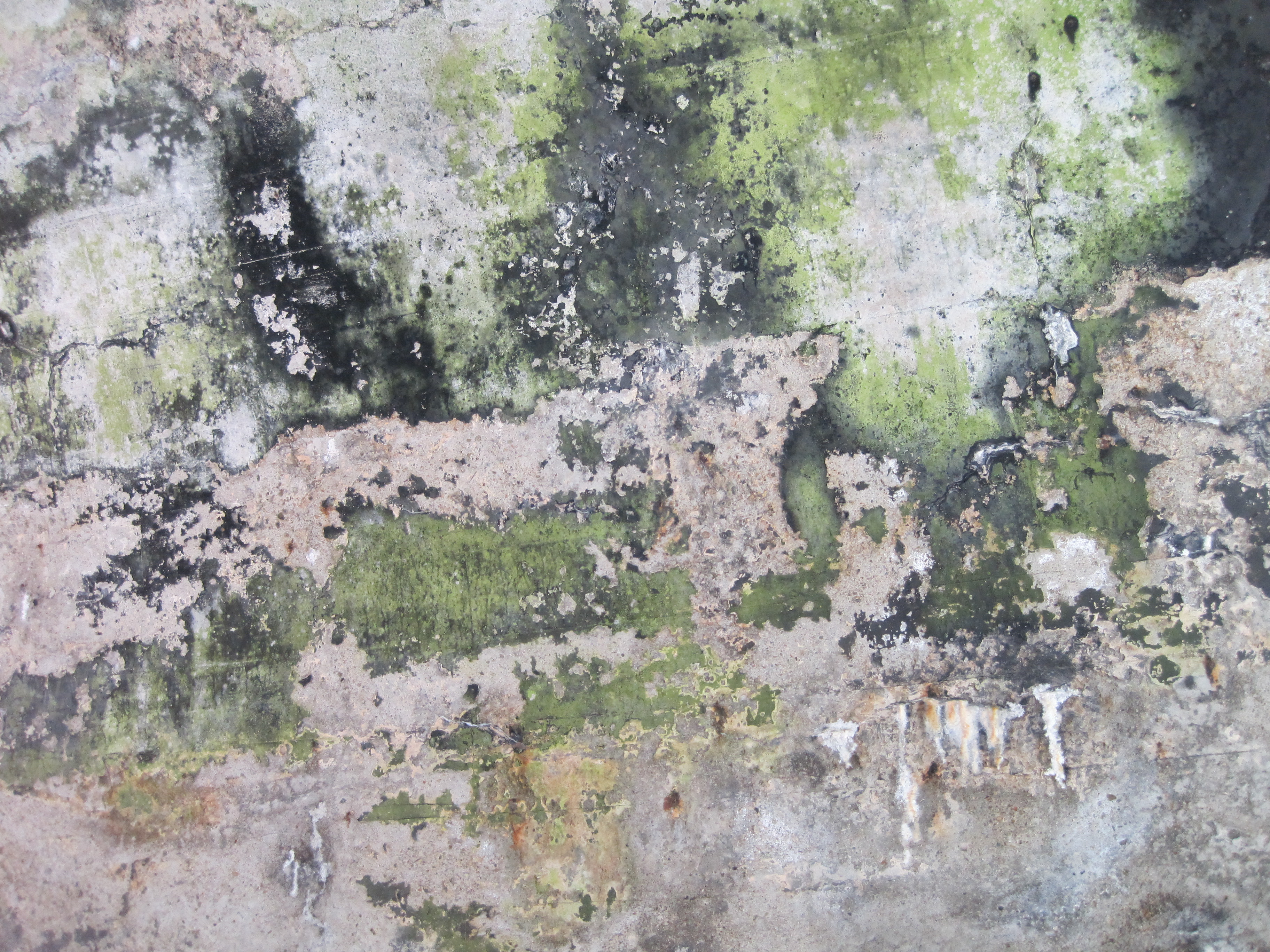 Stock: Moldy concrete texture